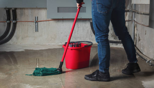Professional Water damage restoration in Siesta Key, FL
