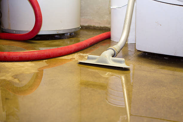Best Basement water damage restoration  in Siesta Key, FL
