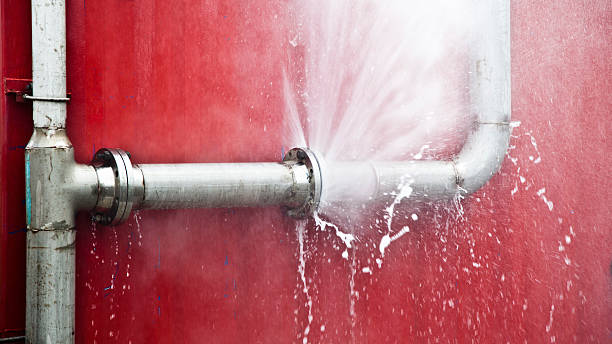 Best Flood damage cleanup  in Siesta Key, FL